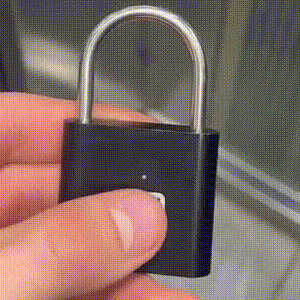 Smart Fingerprint Padlock